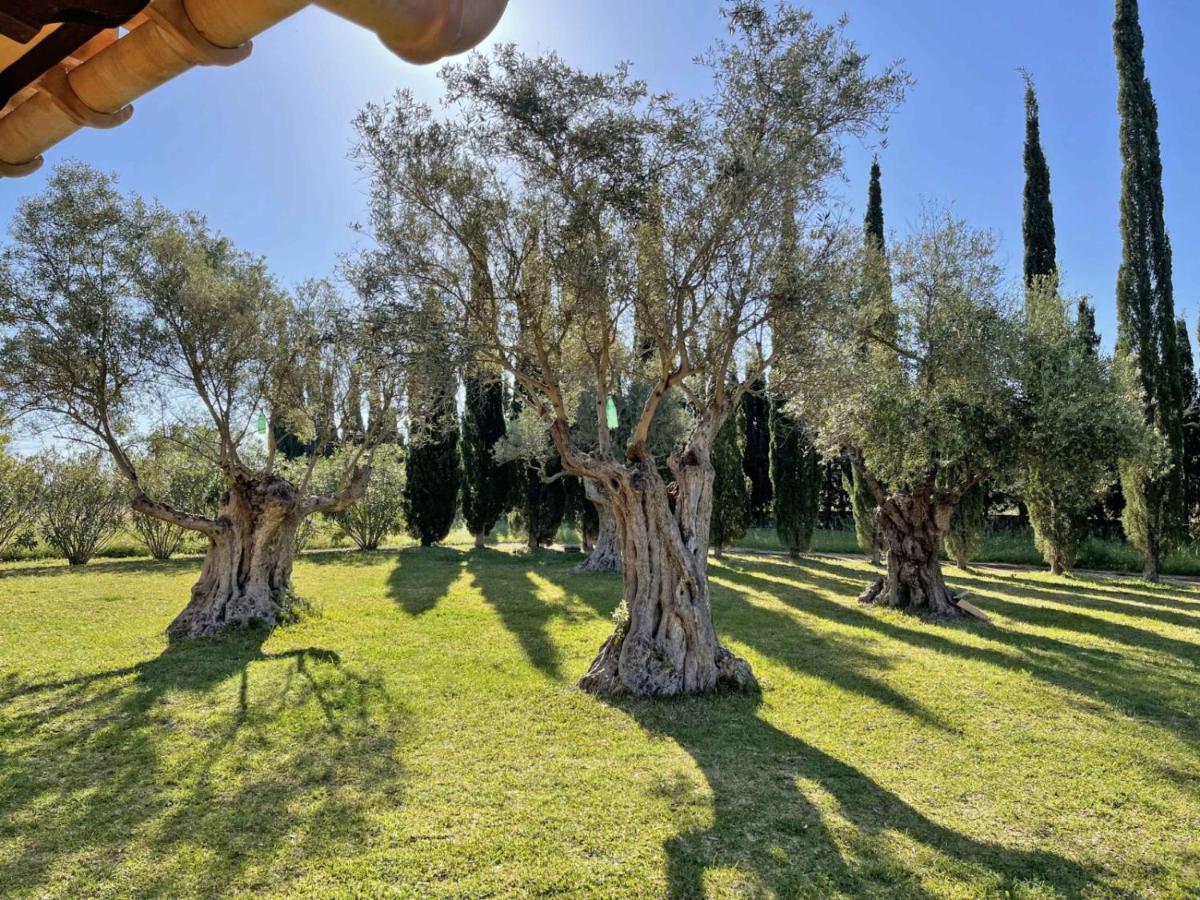 Holiday home Caseta Des Pradi Biel *