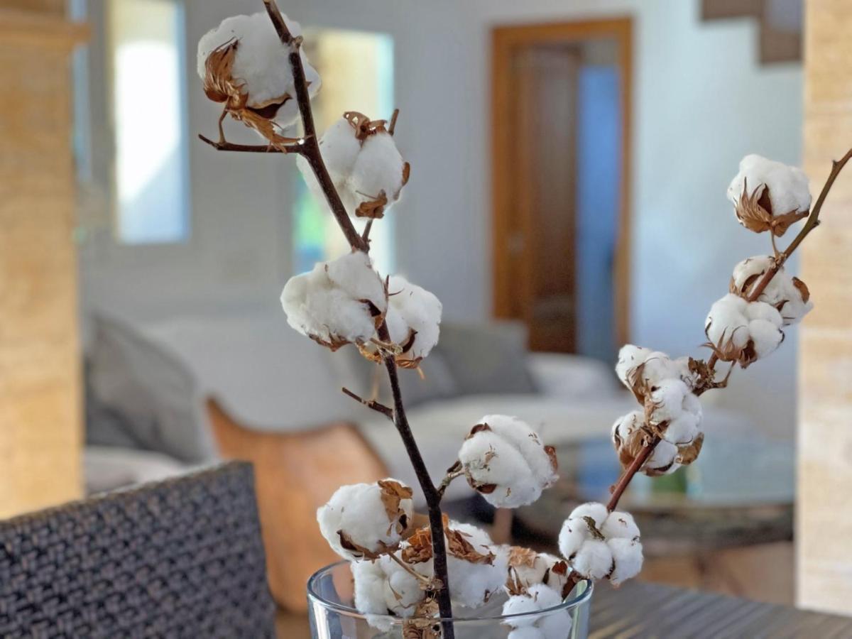 Caseta Des Pradi Biel Holiday home Lloseta